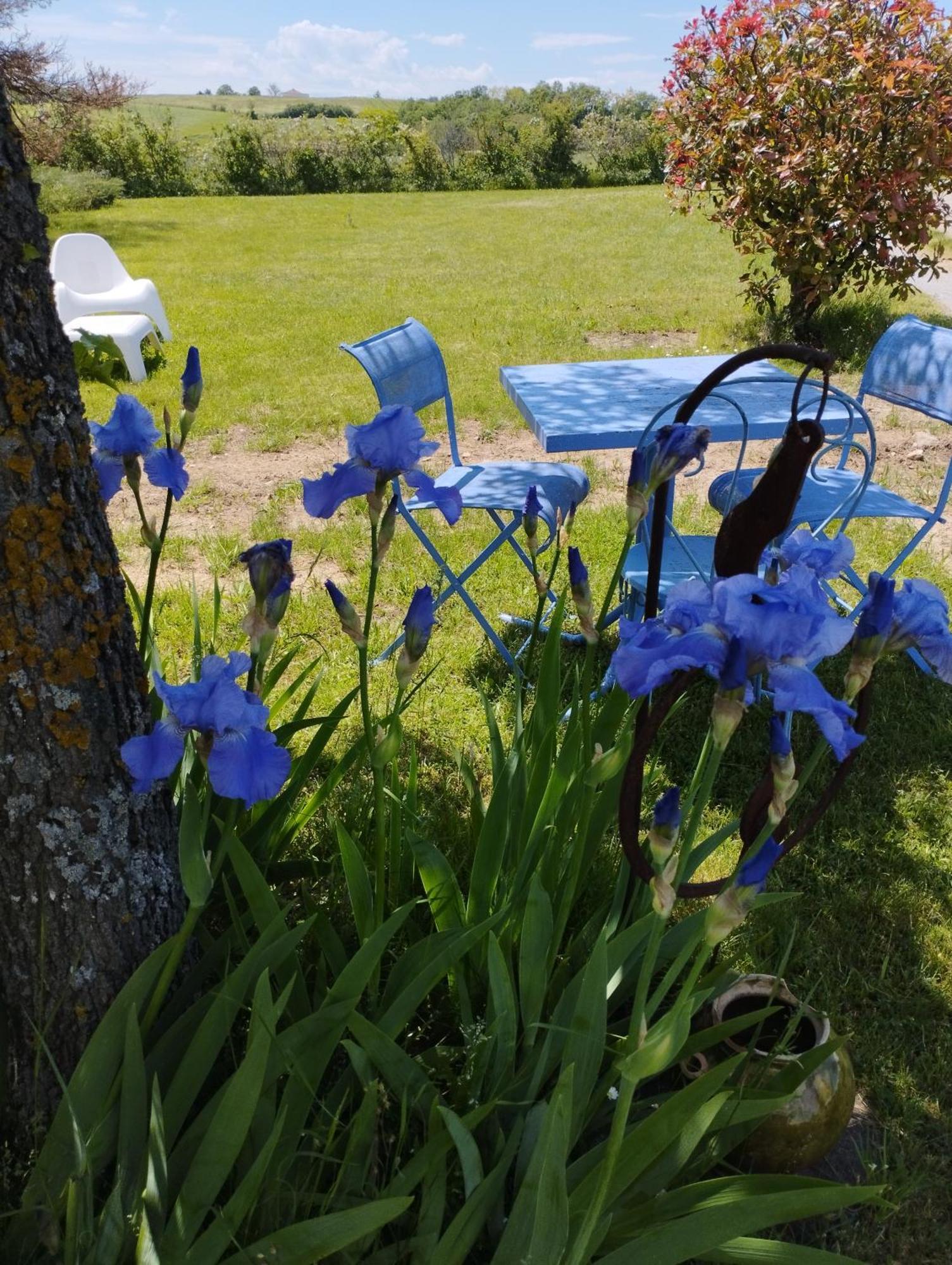 Holiday home La Verdine Verin