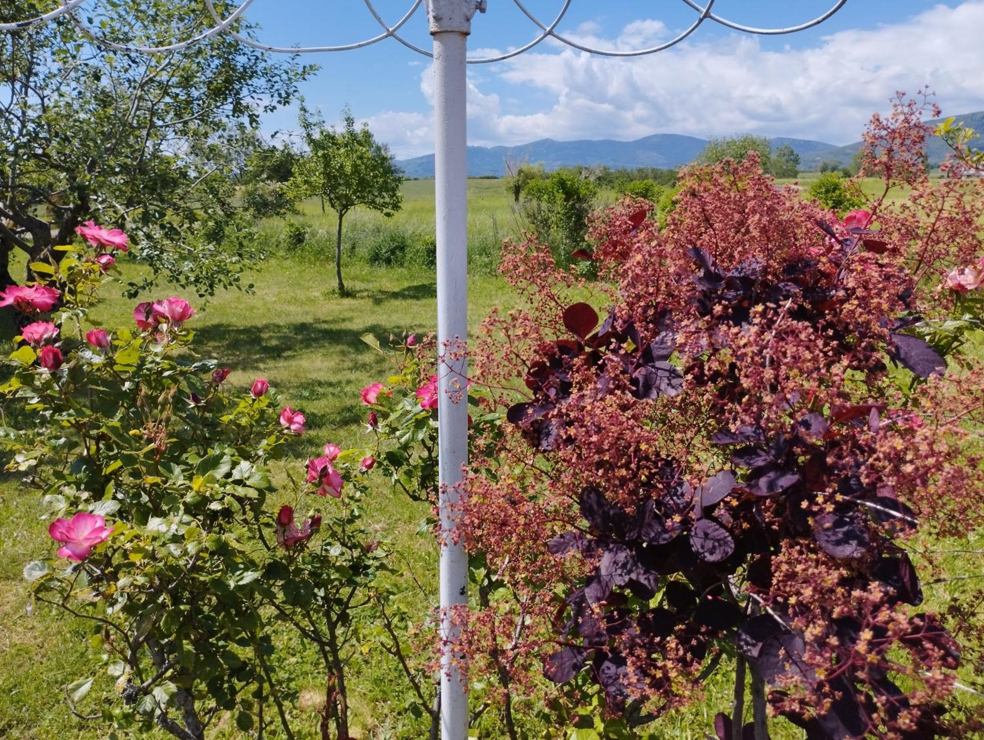La Verdine Holiday home